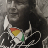 Arizona Arnold Palmer cans11.5oz 12ct